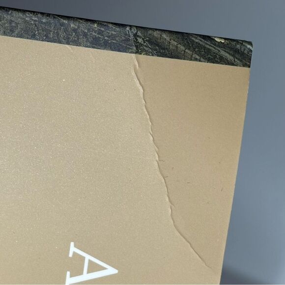 Andrew Wyeth. Looking Out, Looking In End Table Book‎ Art - Picture 4 of 6